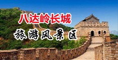 www.ganwobi中国北京-八达岭长城旅游风景区